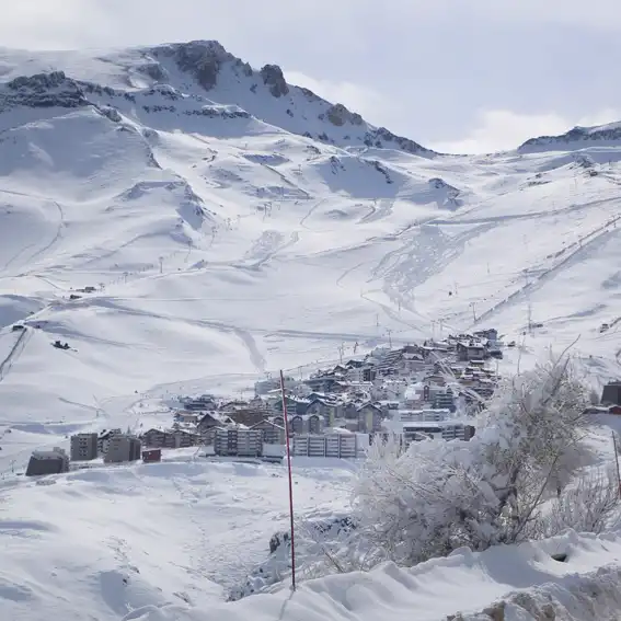 LA PARVA