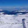 LA PARVA